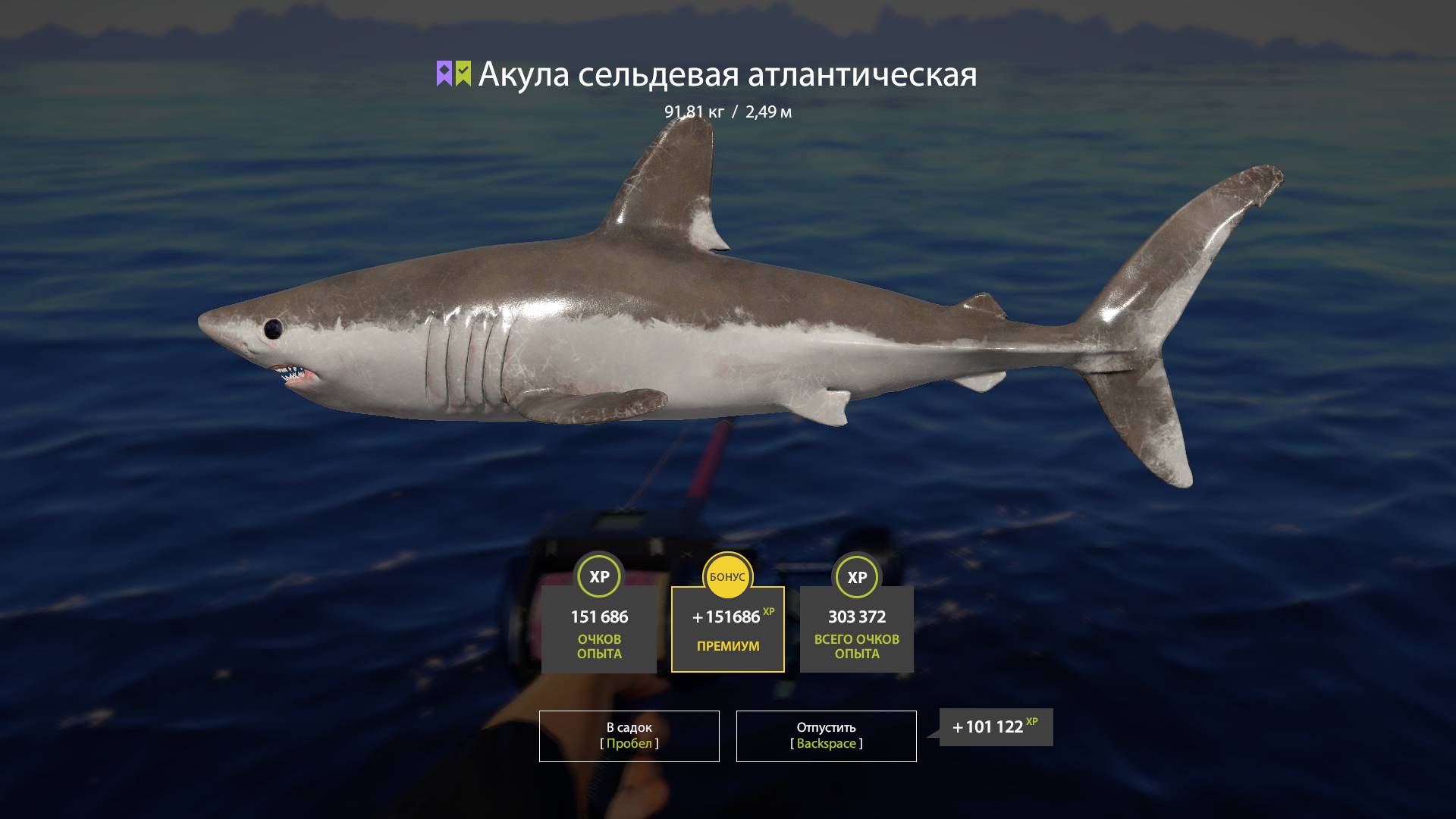 Русская рыбалка 4. Норвежское море. Акула сельдевая