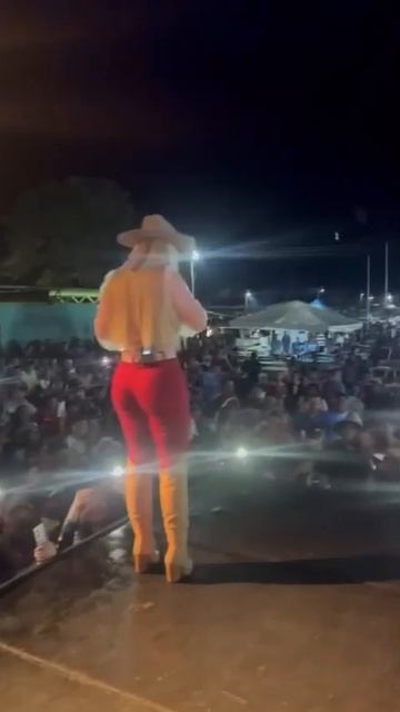 Прикольные видео