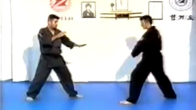 Hapkido - Yang Hum Kwan / Хапкидо - Техника ударов ногами