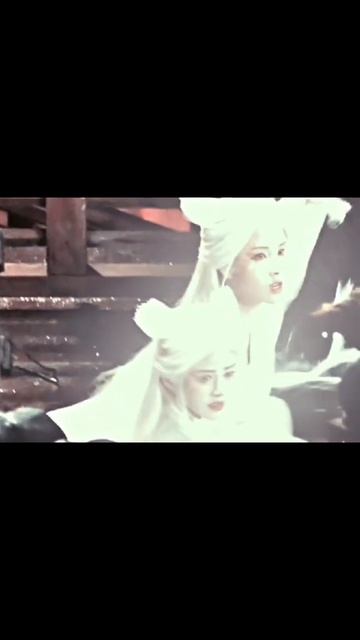 1000012049.mp4