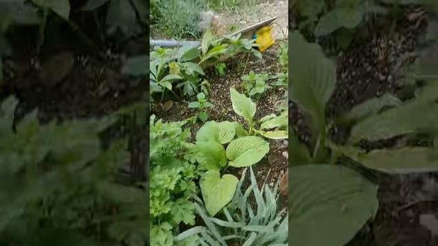 Скатерть из тундры: северный покой вне времени