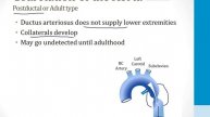 Cardiology - 7. The Developing Heart - 4.Coarctation of the Aorta atf