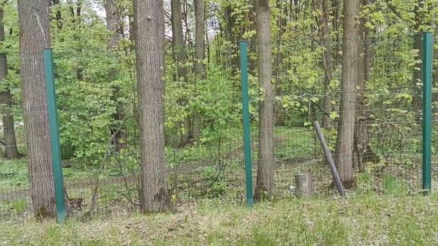 В 2034 году в 100 метрах от вашего дома откроется станция метро «Лопатино».