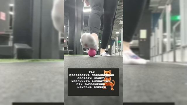 Растяжка задней поверхностной линии