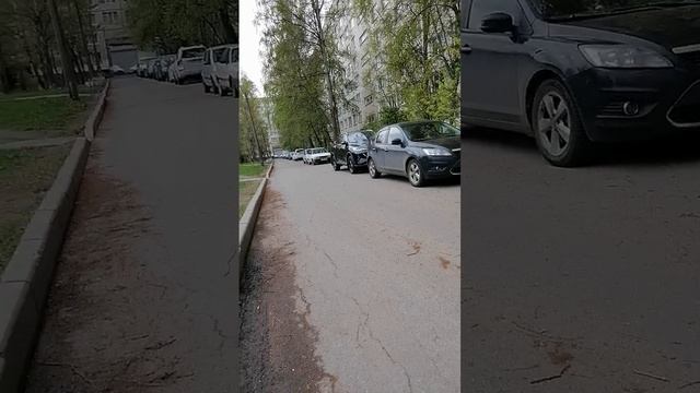 Проявите эмпатию, посмотрите прогулку