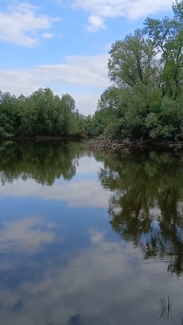 звуки природы-озеро в деревне