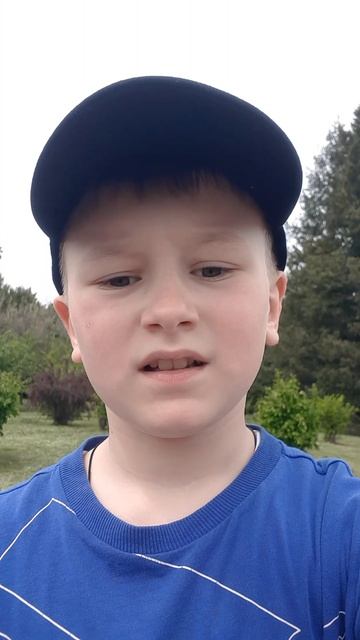 приехали в лосы