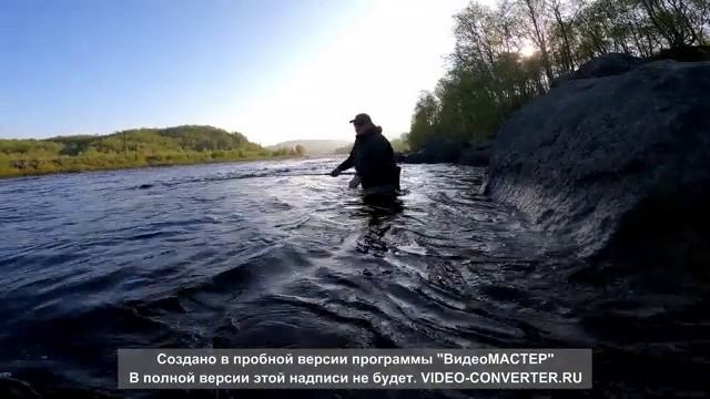 Отпуск 2022г. Кольский, нахлыст, семга
