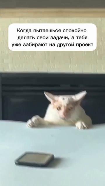 На другой проект