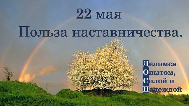 22 мая. Польза наставничества.