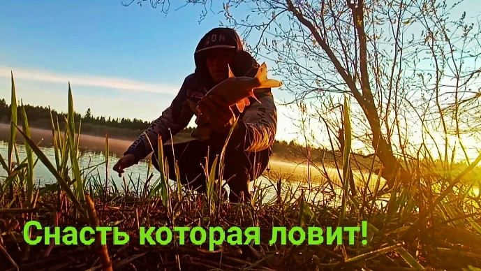 Эту снасть надо использовать ВСЕГДА! Ночная рыбалка на реке. Фидер или донка, что лучше?