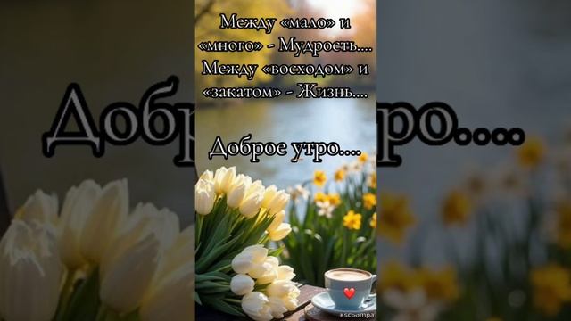 Доброе утро💖🎀 Пусть сегодня все дороги ведут к счастью 🌝♥️