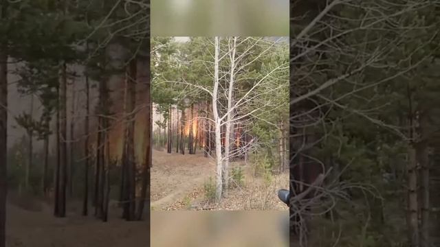 С этим специалистом лучше не связываться.