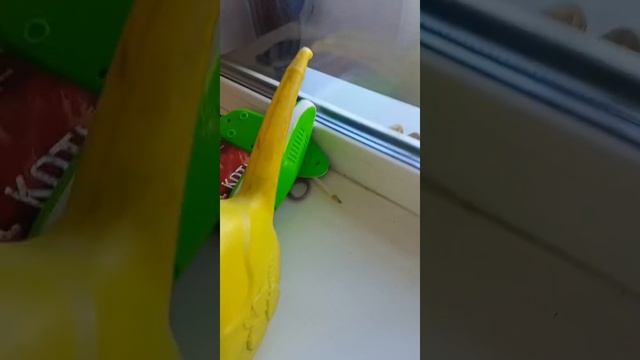 ЧЕЛЕНДЖ 30 МИНУТ НА БАЛКОНЕ!🙀🙀🙀|Даша и её семья