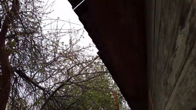 Весенний дождь.