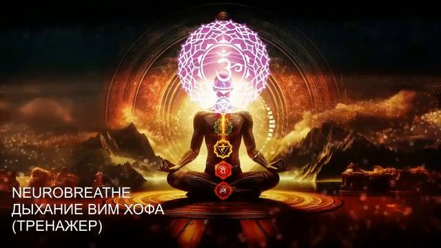 Дыхание Вима Хофа. Интенсивный онлайн-тренажер. Макси?