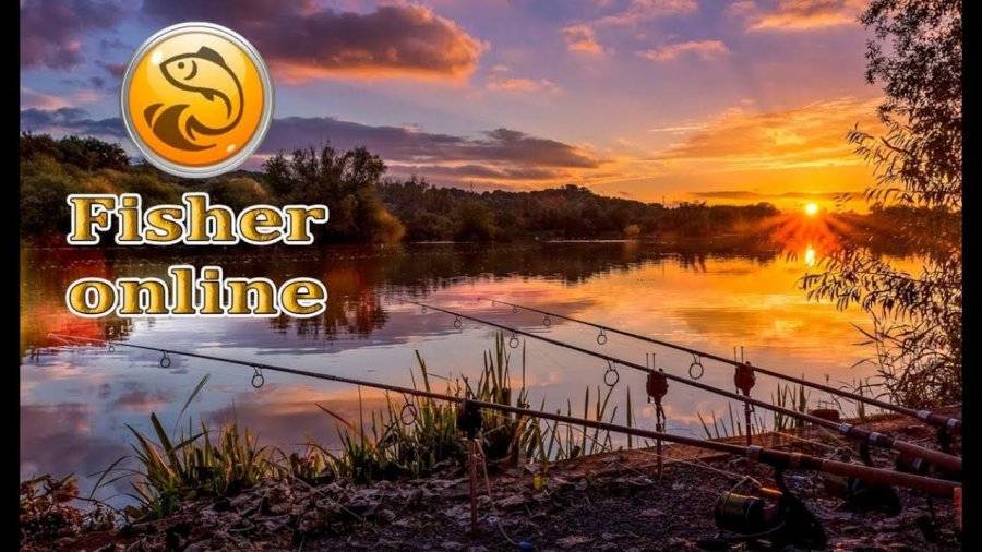 Fisher Online