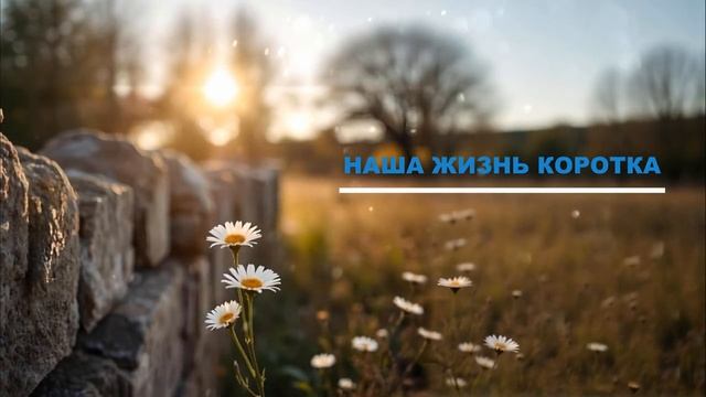 НАША ЖИЗНЬ коротка.mp4