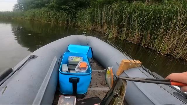 Щуки звереют! Разловил воблер на первом забросе!