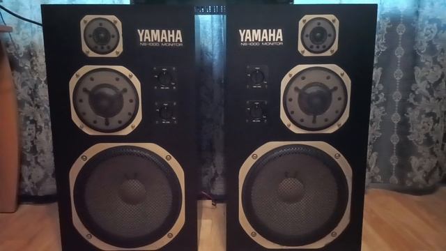 Yamaha ns-1000M
ax-900
