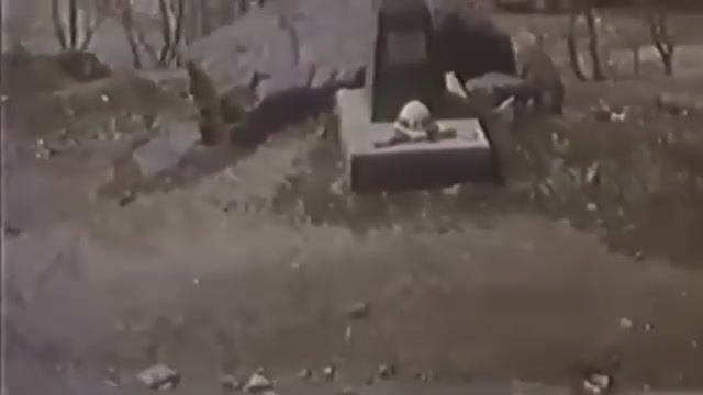 Песня "Ты же выжил солдат".