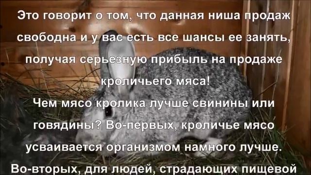 Тюмень Защита ФинКонсультант