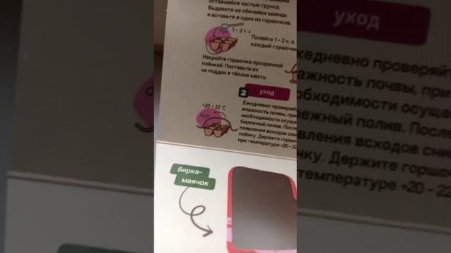 Огород на подоконнике