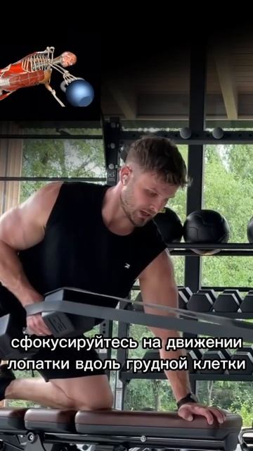 Тяга гантели к поясу с резиновой петлей