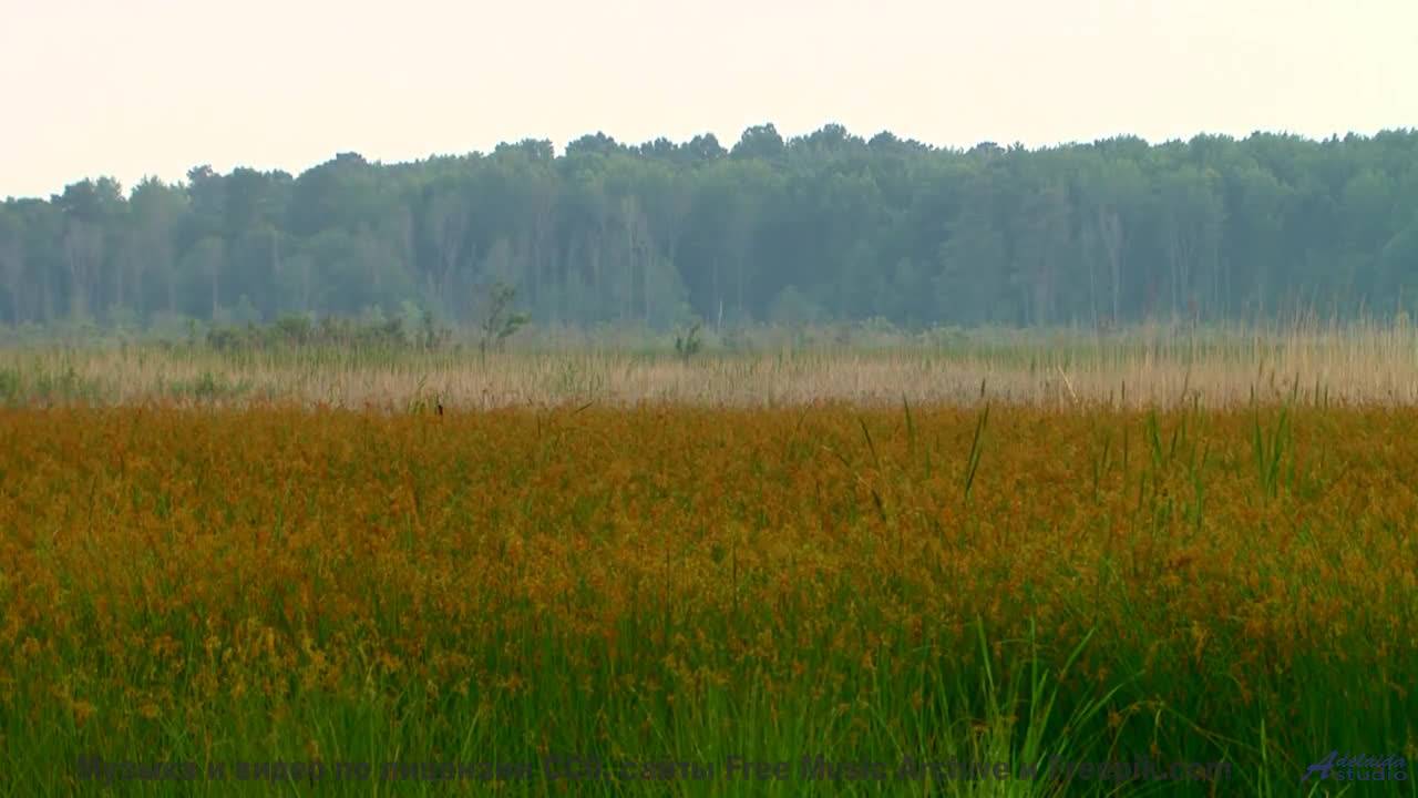 Музыка наполняет душу светом при каждом кадре - Hey, Augusta -- The Agrarians -- Hey, Augusta