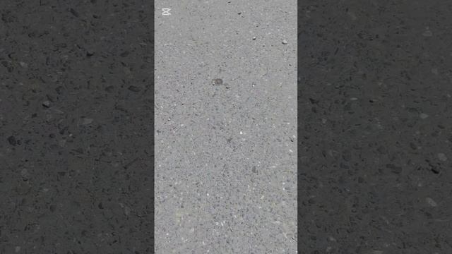 Позвала одну, прибежали со всех сторон