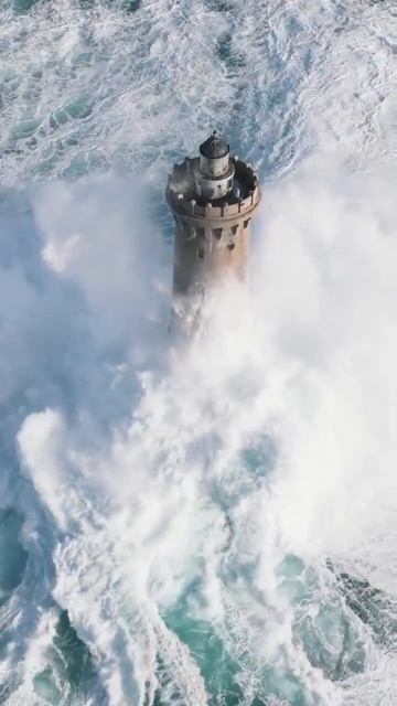 X2Twitter.com_1523450498787028996(1280p)