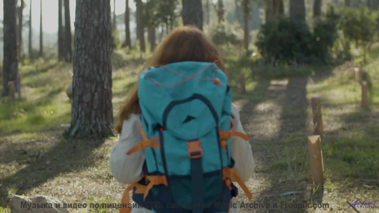 Леса шепчут свои истории вместе с этим треком - Запрещать запрещено (feat. Даша Гусеничка) -- POVALI