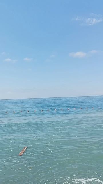 О море море