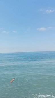 О море море