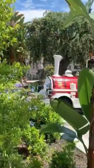 Monaco: паровозик из Монте-Карло!