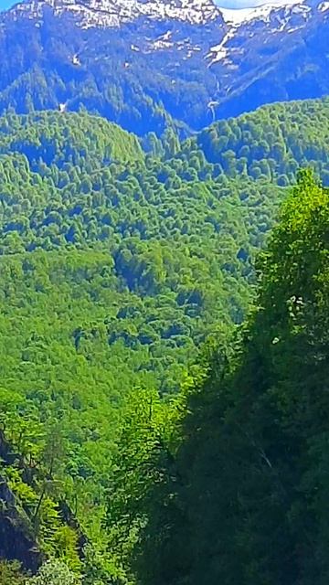 Долина Лауры.Красная Поляна.16.05.25.