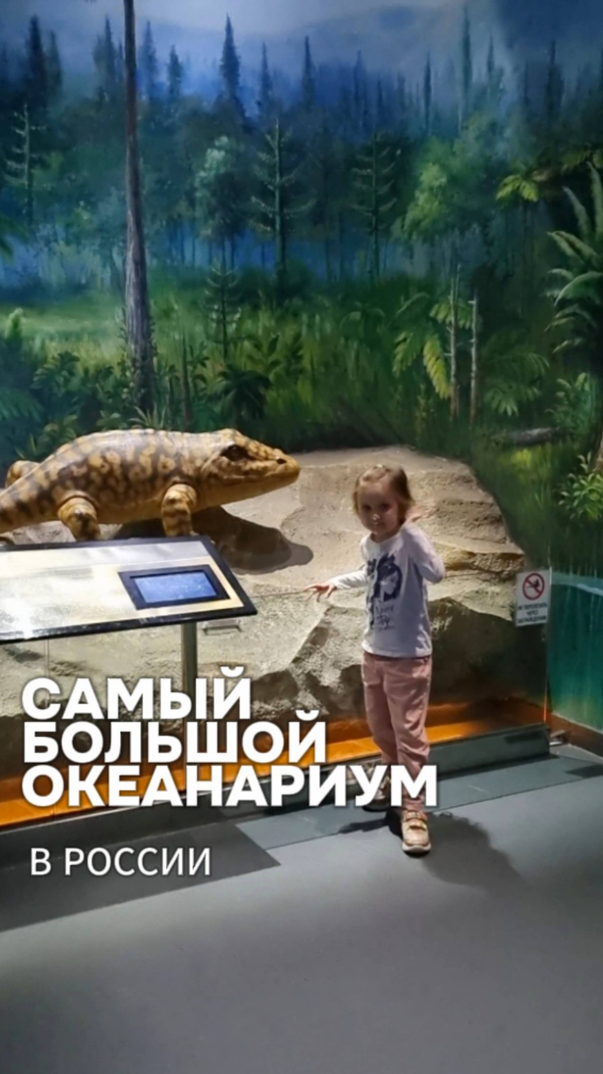 Океанариум. Владивосток.