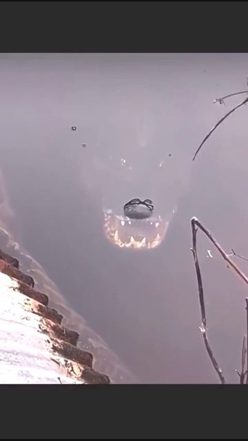 Заходите... вода отличная