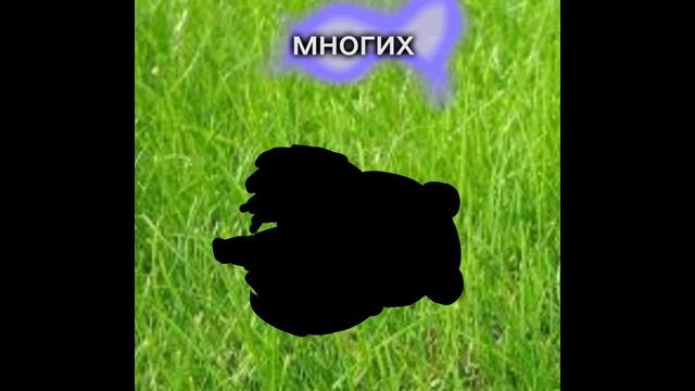 название съела бабайка