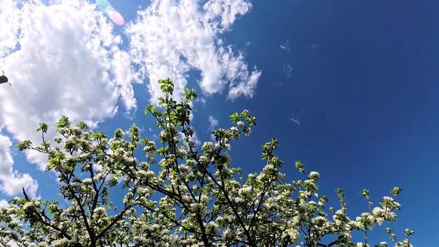 облока горизонт