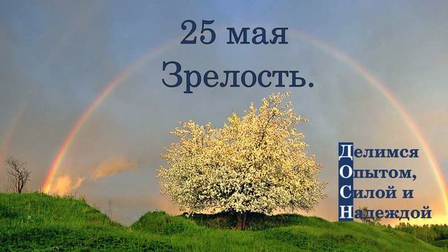 25 мая. Зрелость.