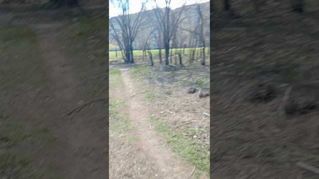 ПИПИНДУРЫ 9 СЕРИЯ