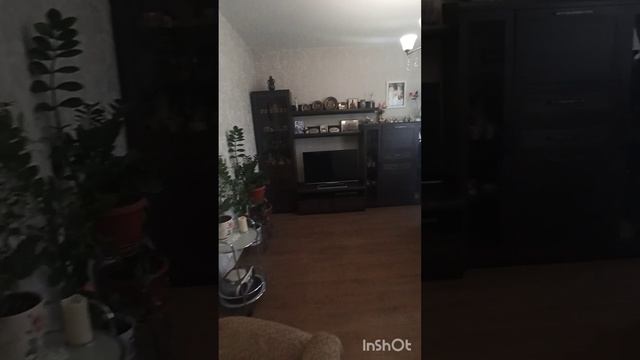 InShot_20250518_234835238.mp4