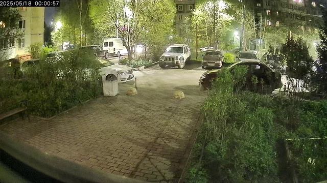 2025.05.18 в 00-00 Вышел водитель