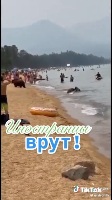 Как мы
