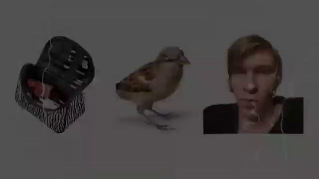 перезапуск=косметичка птичка