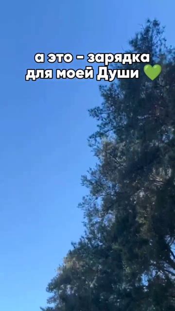 Тренд 2025 года