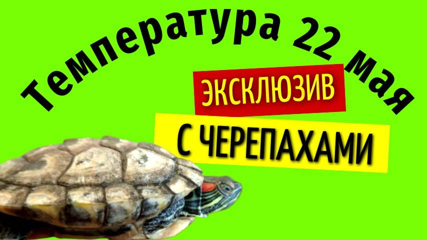 22 мая температура