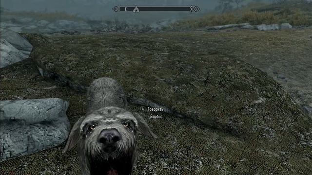 Skyrim. Барбаса заело #2