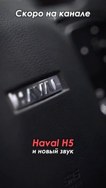 Haval H5 | Audison | Match #helix #автозвук #сабвуфер #шумка #car #havalh5 #au